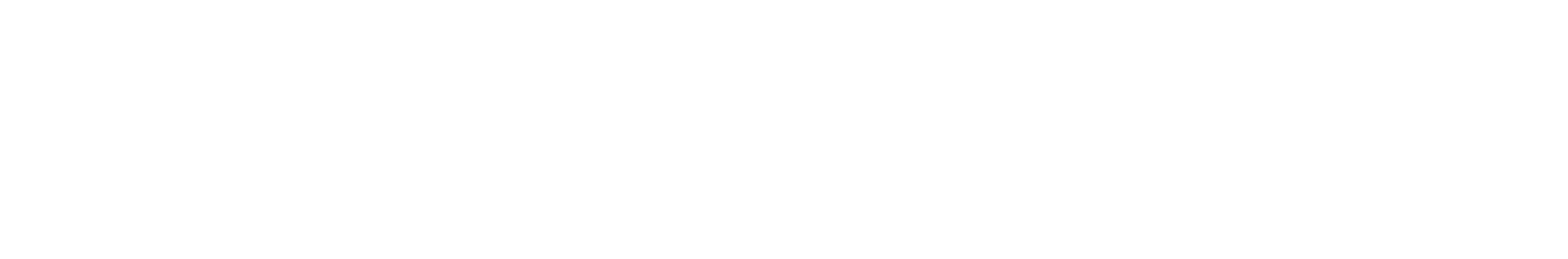 parlayplay-logo